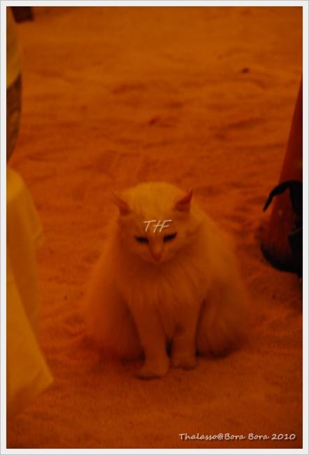 Thalasso119.JPG